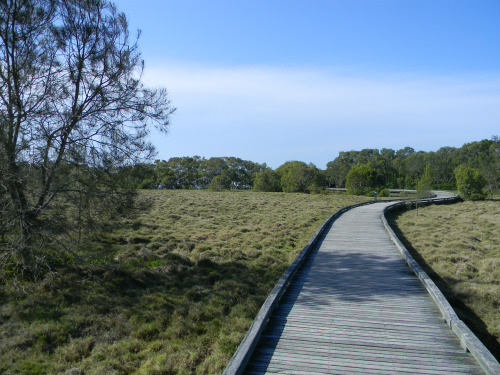 The Path to Bird Hide